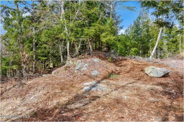 $142,500 | L18 Mountain Meadow Road, Adirondack, NY 12808