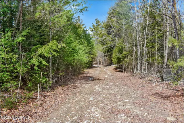 $142,500 | L18 Mountain Meadow Road, Adirondack, NY 12808