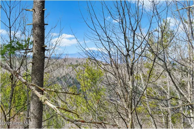 $142,500 | L18 Mountain Meadow Road, Adirondack, NY 12808