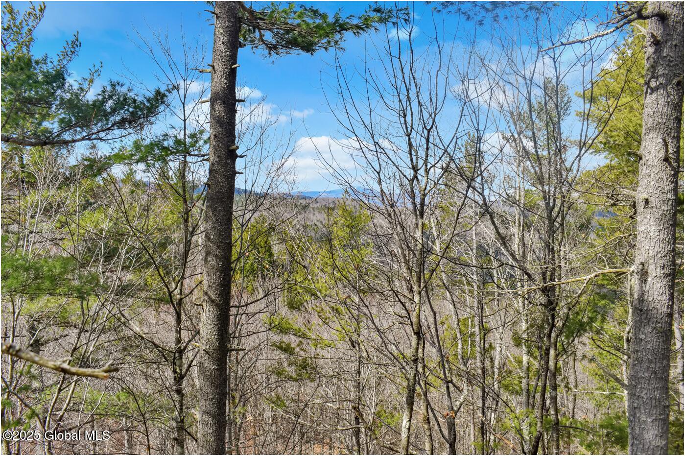 L18 Mountain Meadow Road Adirondack, NY 12808 - Photo 4 of 27 mm10