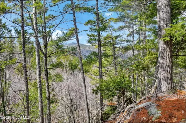 $142,500 | L18 Mountain Meadow Road, Adirondack, NY 12808