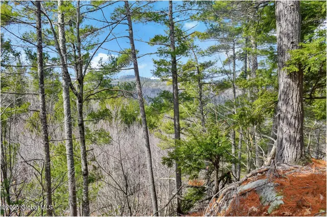 $142,500 | L18 Mountain Meadow Road, Adirondack, NY 12808