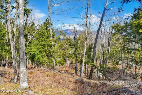 $142,500 | L18 Mountain Meadow Road, Adirondack, NY 12808