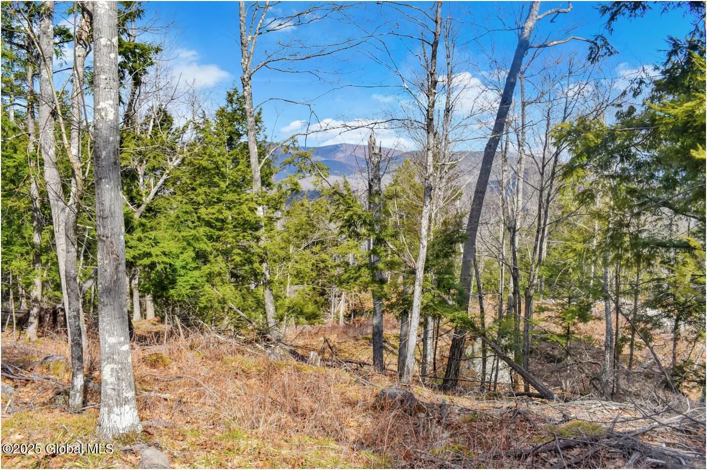 L18 Mountain Meadow Road Adirondack, NY 12808 - Photo 6 of 27 mm7