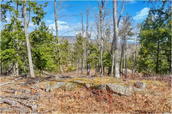 $142,500 | L18 Mountain Meadow Road, Adirondack, NY 12808