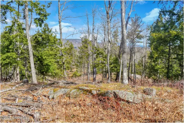 $142,500 | L18 Mountain Meadow Road, Adirondack, NY 12808