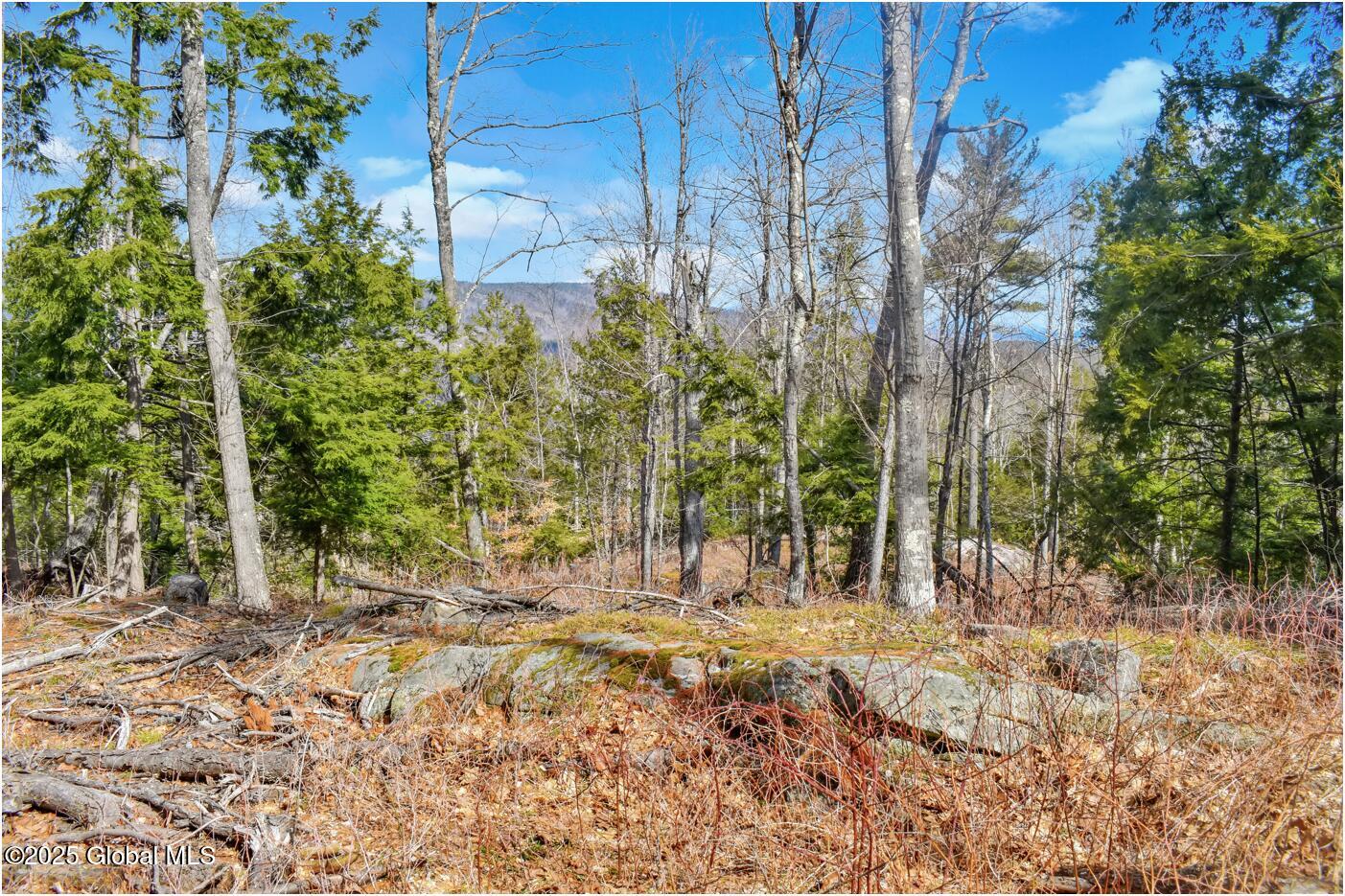 L18 Mountain Meadow Road Adirondack, NY 12808 - Photo 7 of 27 mm8