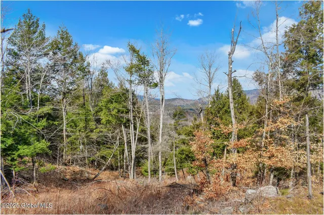 $142,500 | L18 Mountain Meadow Road, Adirondack, NY 12808