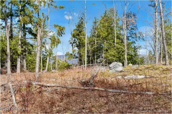 $142,500 | L18 Mountain Meadow Road, Adirondack, NY 12808