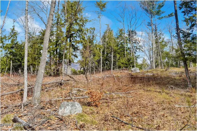 $142,500 | L18 Mountain Meadow Road, Adirondack, NY 12808