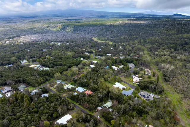 a view of a field with an tree