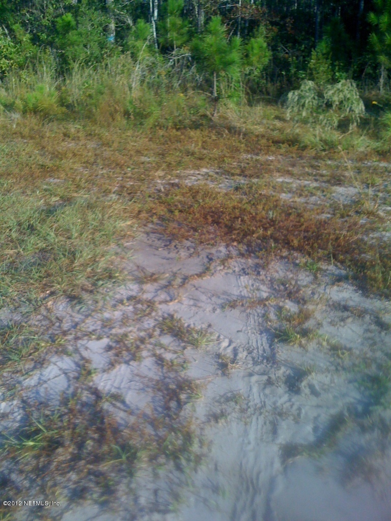 0 Chapparell Road Jacksonville, FL 32218 - Photo 2 of 4 Chapparell
