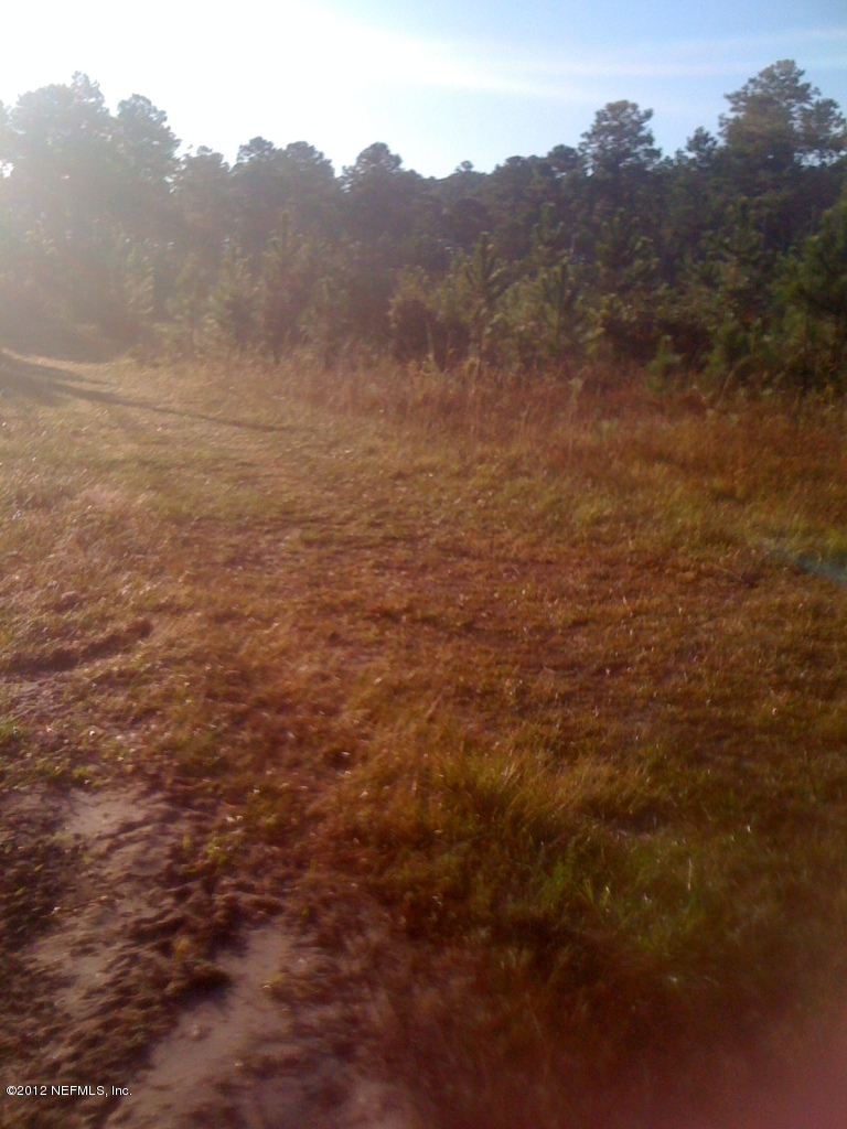0 Chapparell Road Jacksonville, FL 32218 - Photo 3 of 4 Chapparell
