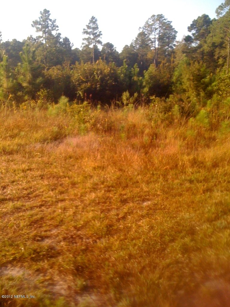 0 Chapparell Road Jacksonville, FL 32218 - Photo 4 of 4 Chapparell