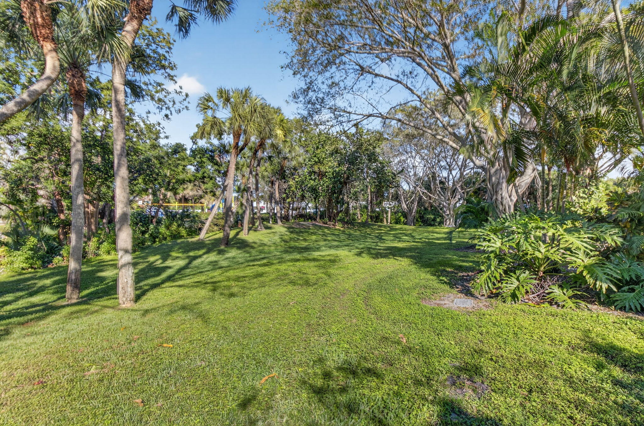 3143 Kingswood Terrace, Unit 3143 Boca Raton, FL 33431 - Photo 34 of 66 a big yard with lots of green space and trees