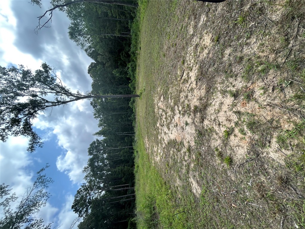 0 An County Road 137 Road Elkhart, TX 75839 - Photo 2 of 6 a view of outdoor space with deck and yard