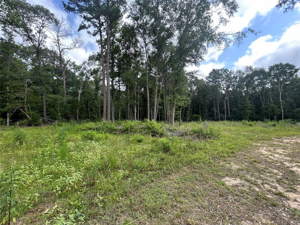 0 An County Road 137 Road Elkhart, TX 75839 - Photo 3 of 6 a view of outdoor space with deck and yard
