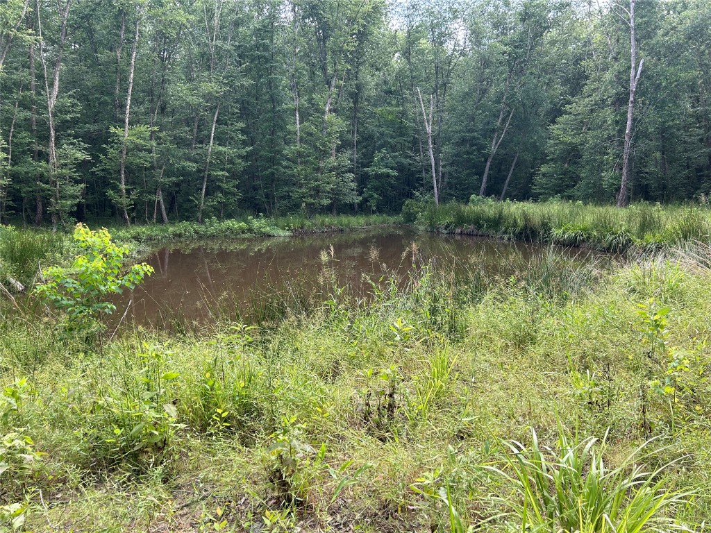 0 An County Road 137 Road Elkhart, TX 75839 - Photo 5 of 6 a view of a lush green forest with lots of trees