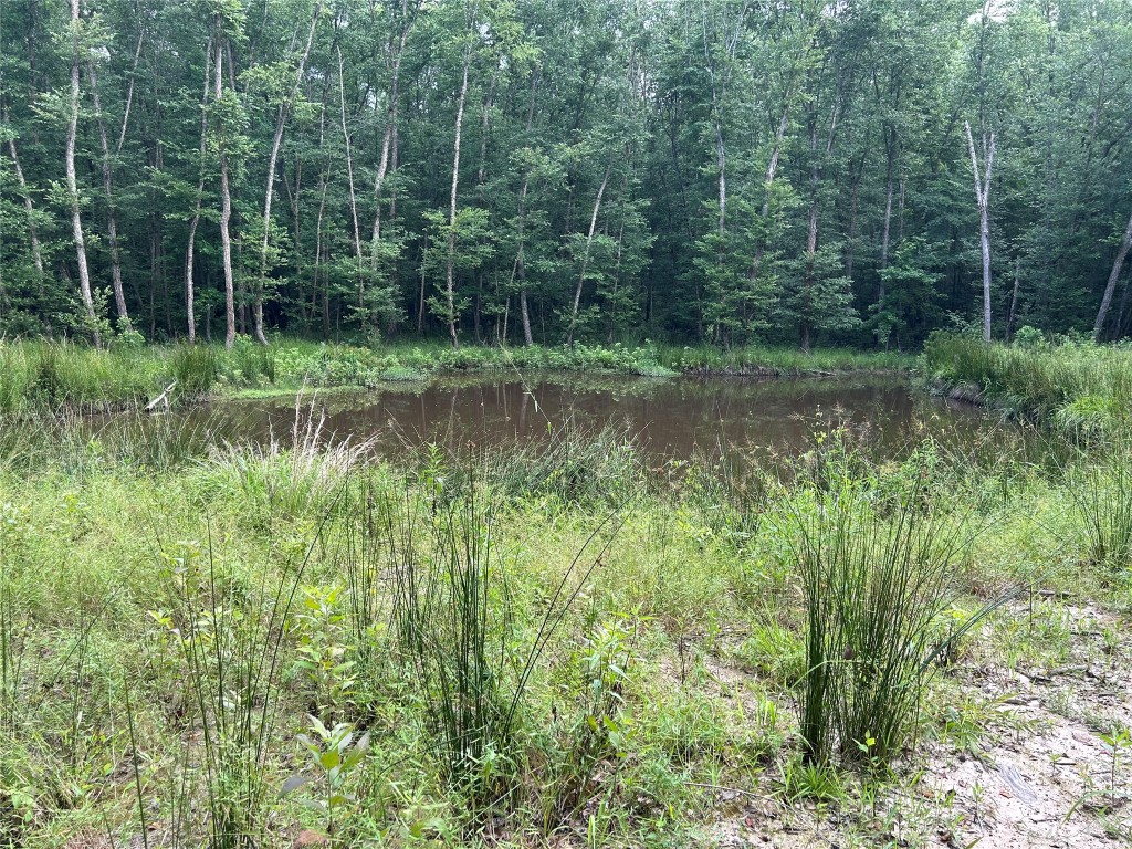 0 An County Road 137 Road Elkhart, TX 75839 - Photo 6 of 6 a view of a lush green forest