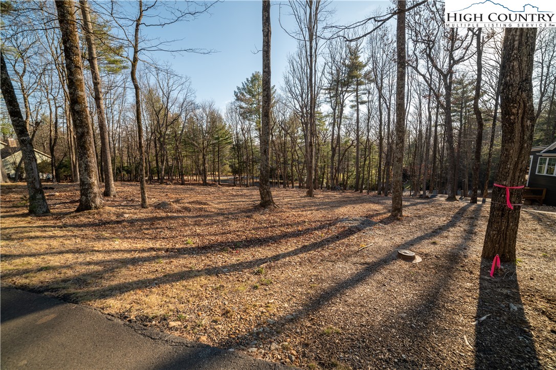 Northview Ridge Glade Valley, NC 28627 - Photo 3 of 6 Gallery Image 3
