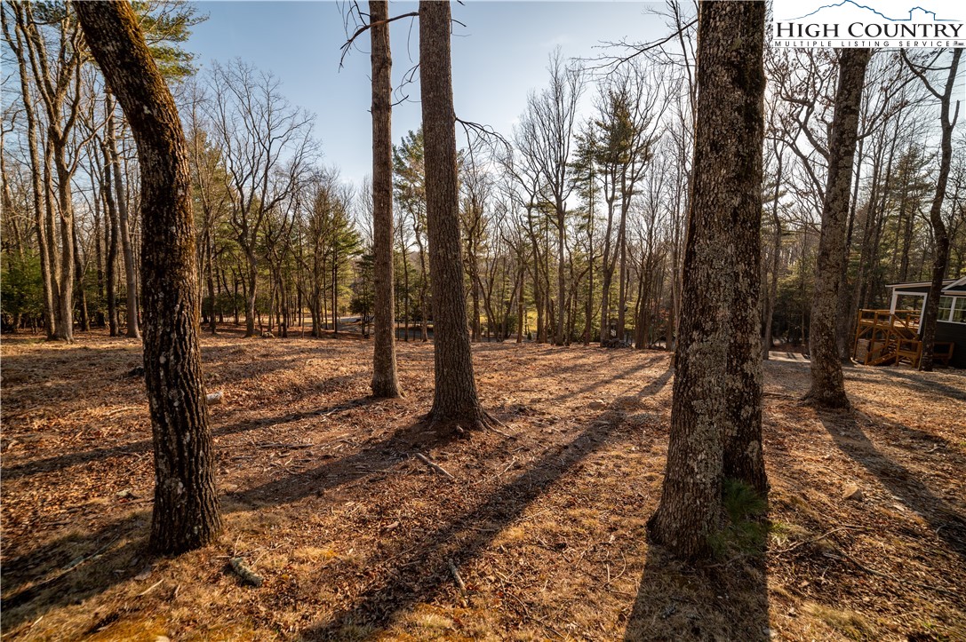 Northview Ridge Glade Valley, NC 28627 - Photo 4 of 6 Gallery Image 4