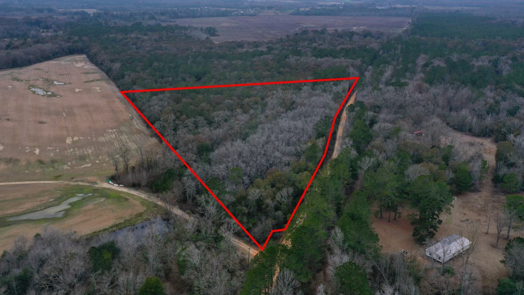 15.05 Pera Road Samson, AL 36477 - Photo 2 of 29