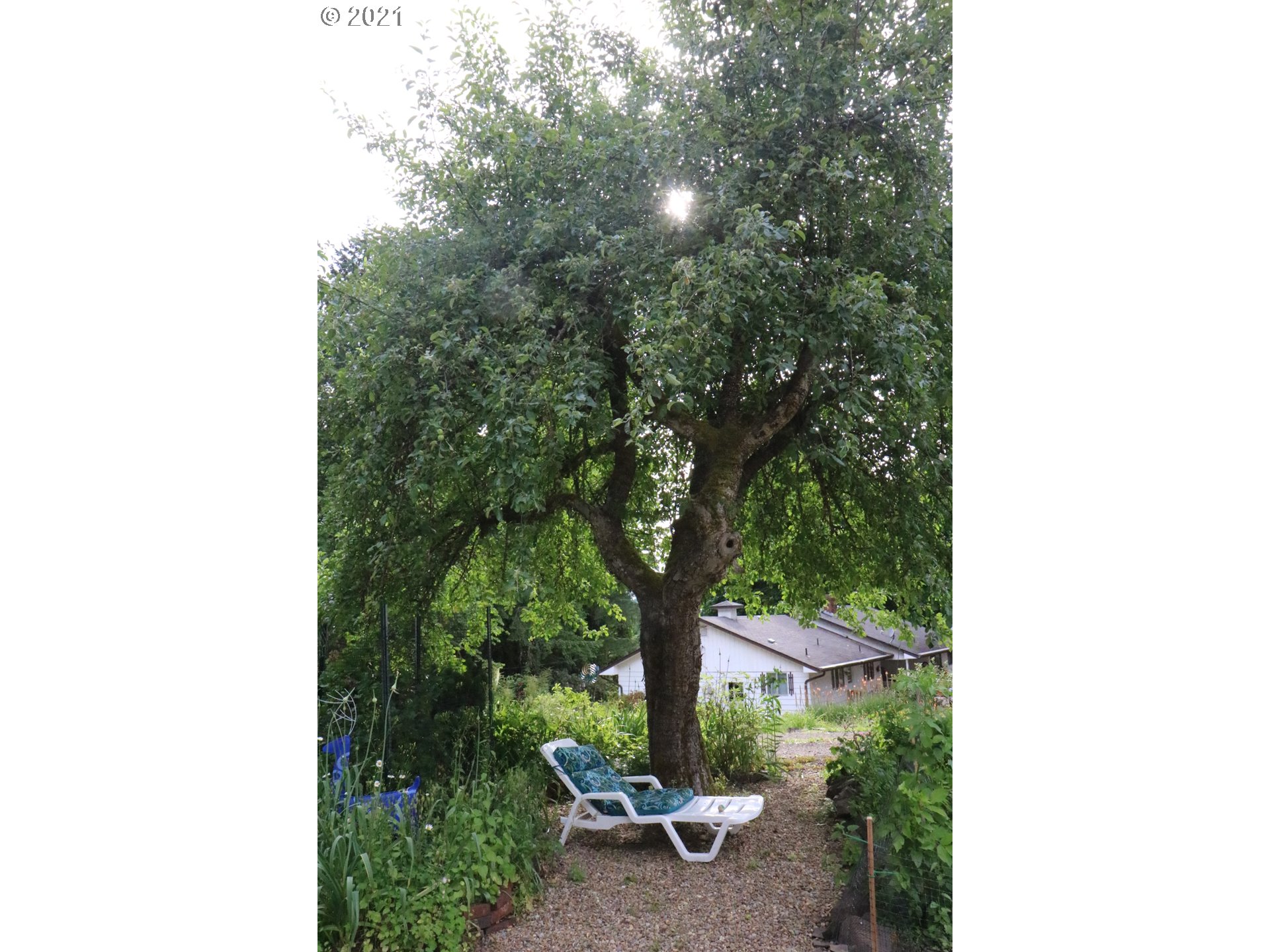 37871 Worth Road Springfield, OR 97478 - Photo 18 of 26