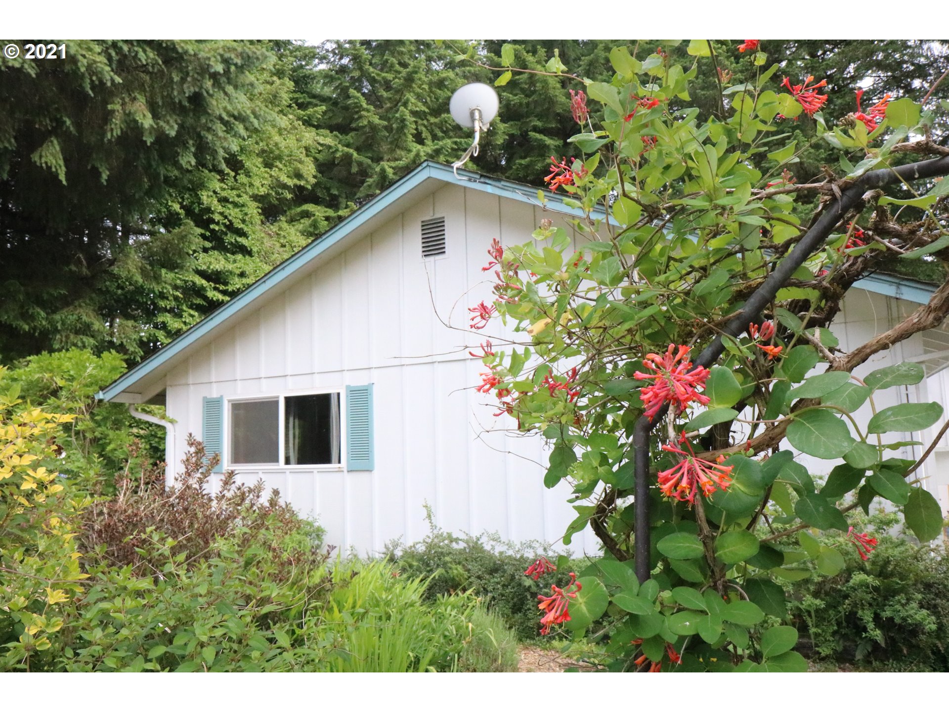 37871 Worth Road Springfield, OR 97478 - Photo 5 of 26