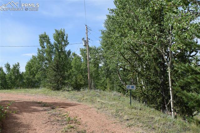 80 Spur Road Divide, CO 80814 - Photo 40 of 48 View of undeveloped land