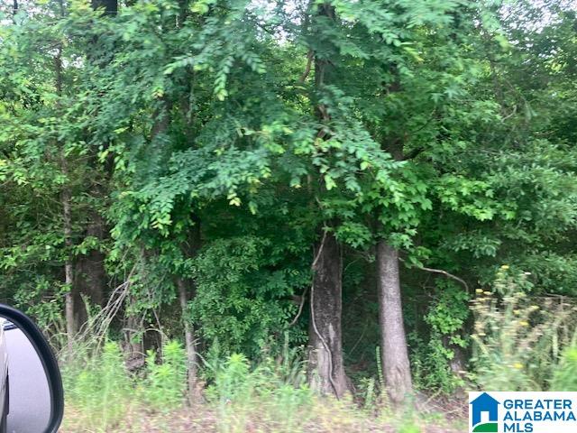3115 Eddins Road Tuscaloosa, AL 35401 - Photo 23 of 25