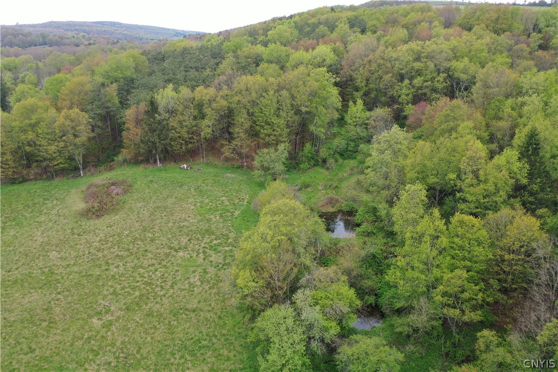 124 Ridge Road Otselic, NY 13155 - Photo 23 of 24