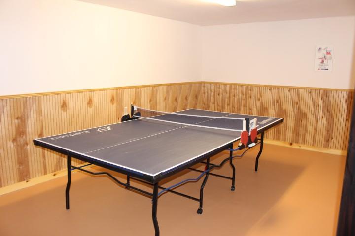 2014 Fox Hollow Road Kingfield, ME 04947 - Photo 16 of 20 Ping Pong!