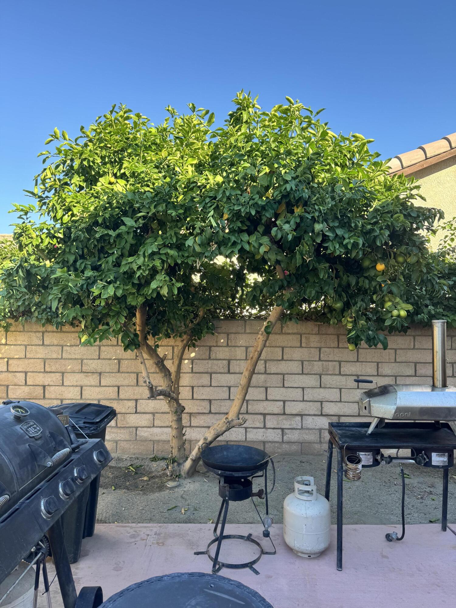 82774 Matthau Drive Indio, CA 92201 - Photo 7 of 44 a backyard of a house with table and chairs
