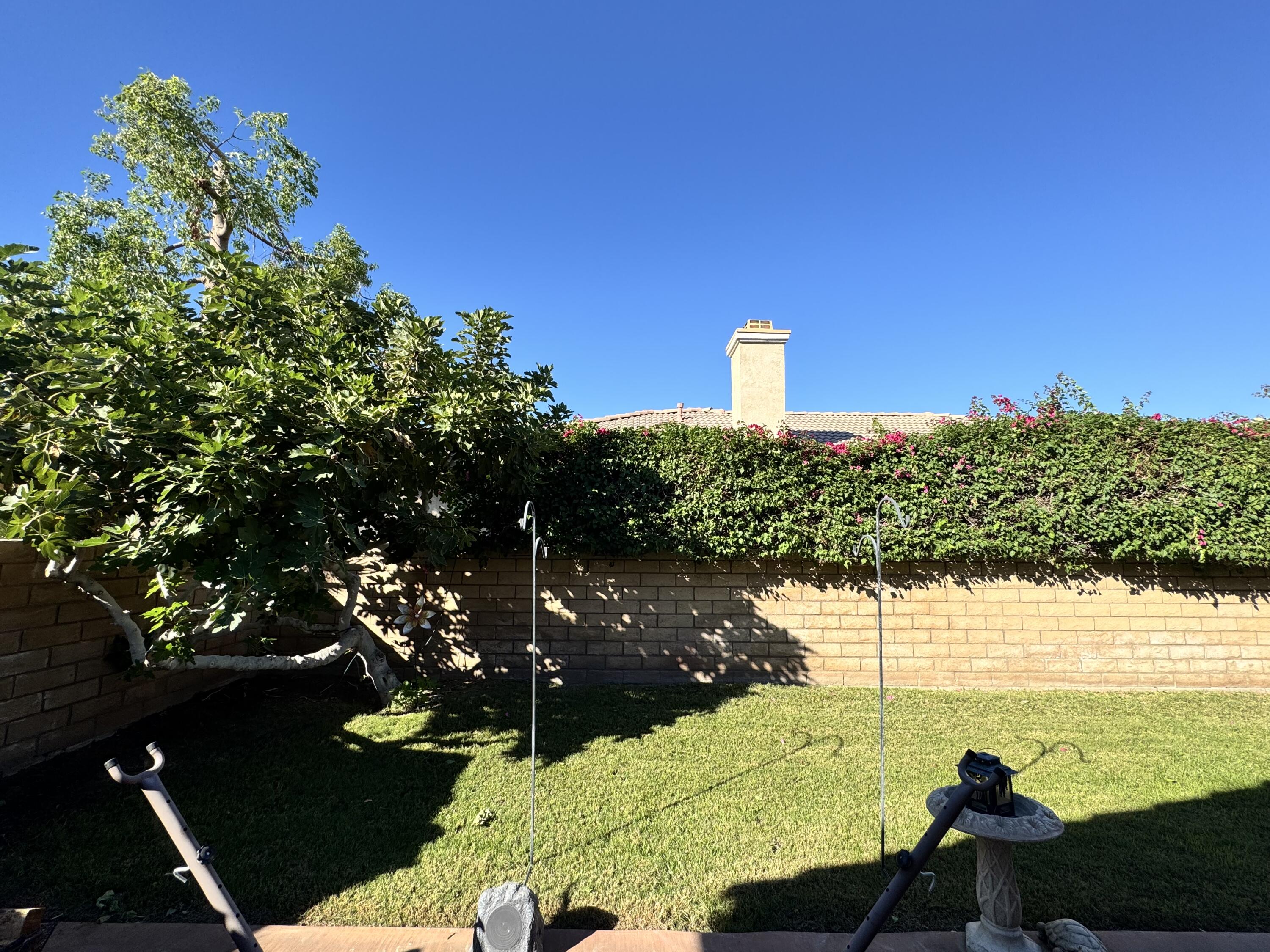 82774 Matthau Drive Indio, CA 92201 - Photo 10 of 44 a view of a yard with a tree