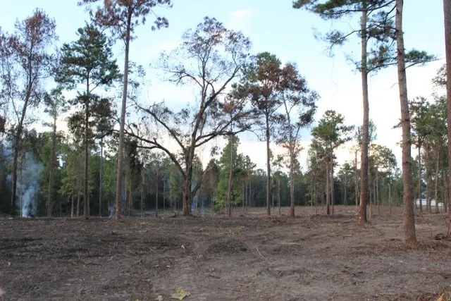 $299,000 | Xxx Xxx Fla-ga-hwy Highway, Havana, FL 32333