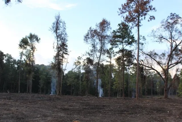 $299,000 | Xxx Xxx Fla-ga-hwy Highway, Havana, FL 32333