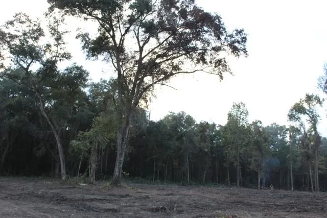 $299,000 | Xxx Xxx Fla-ga-hwy Highway, Havana, FL 32333