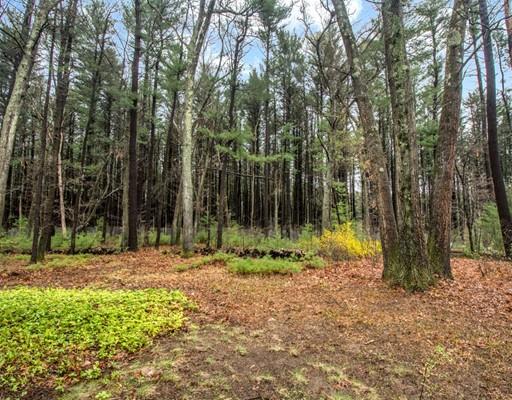 8 Reed Lane Bedford, MA 01730 - Photo 28 of 30