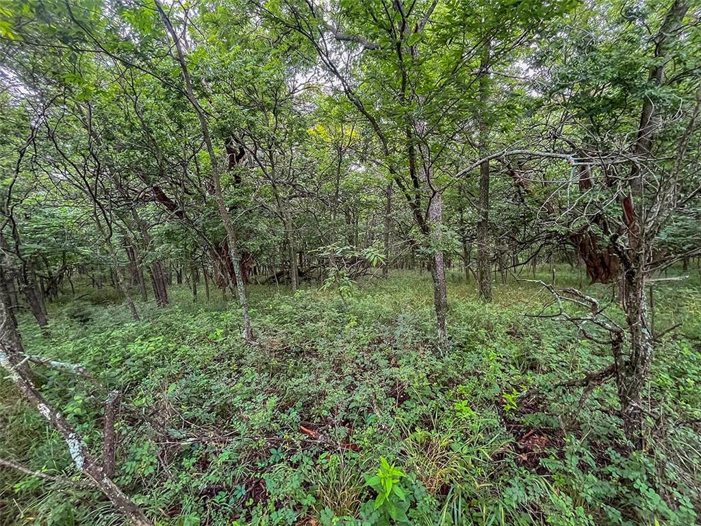 Tbd Road Rich Hill, MO 64779 - Photo 17 of 19