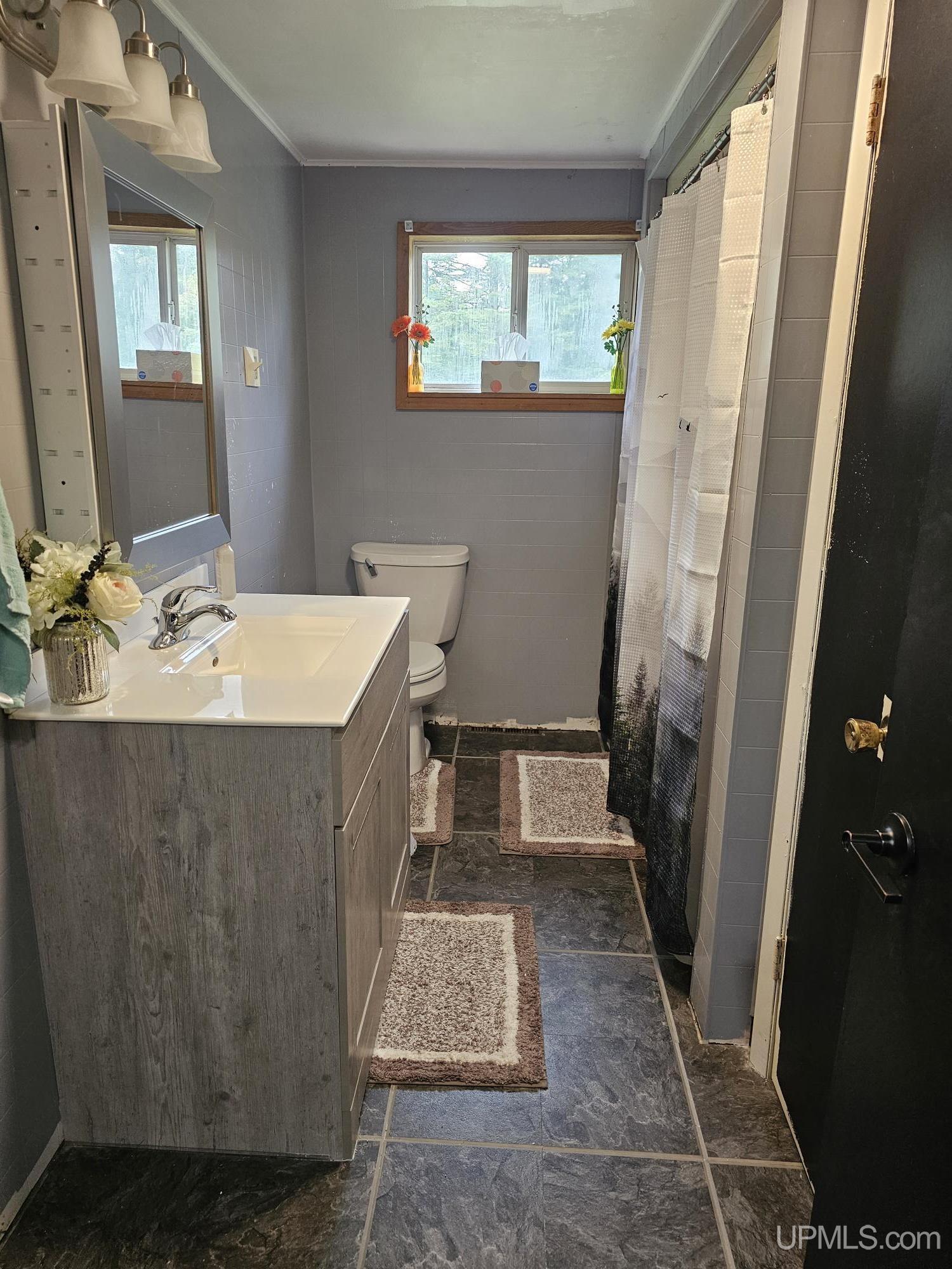 745 North Murphy Lake Road Manistique, MI 49854 - Photo 11 of 40