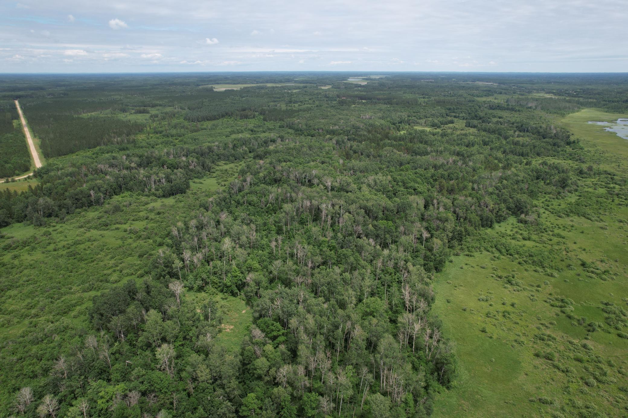 Tbd 350th Street Sebeka, MN 56477 - Photo 11 of 100