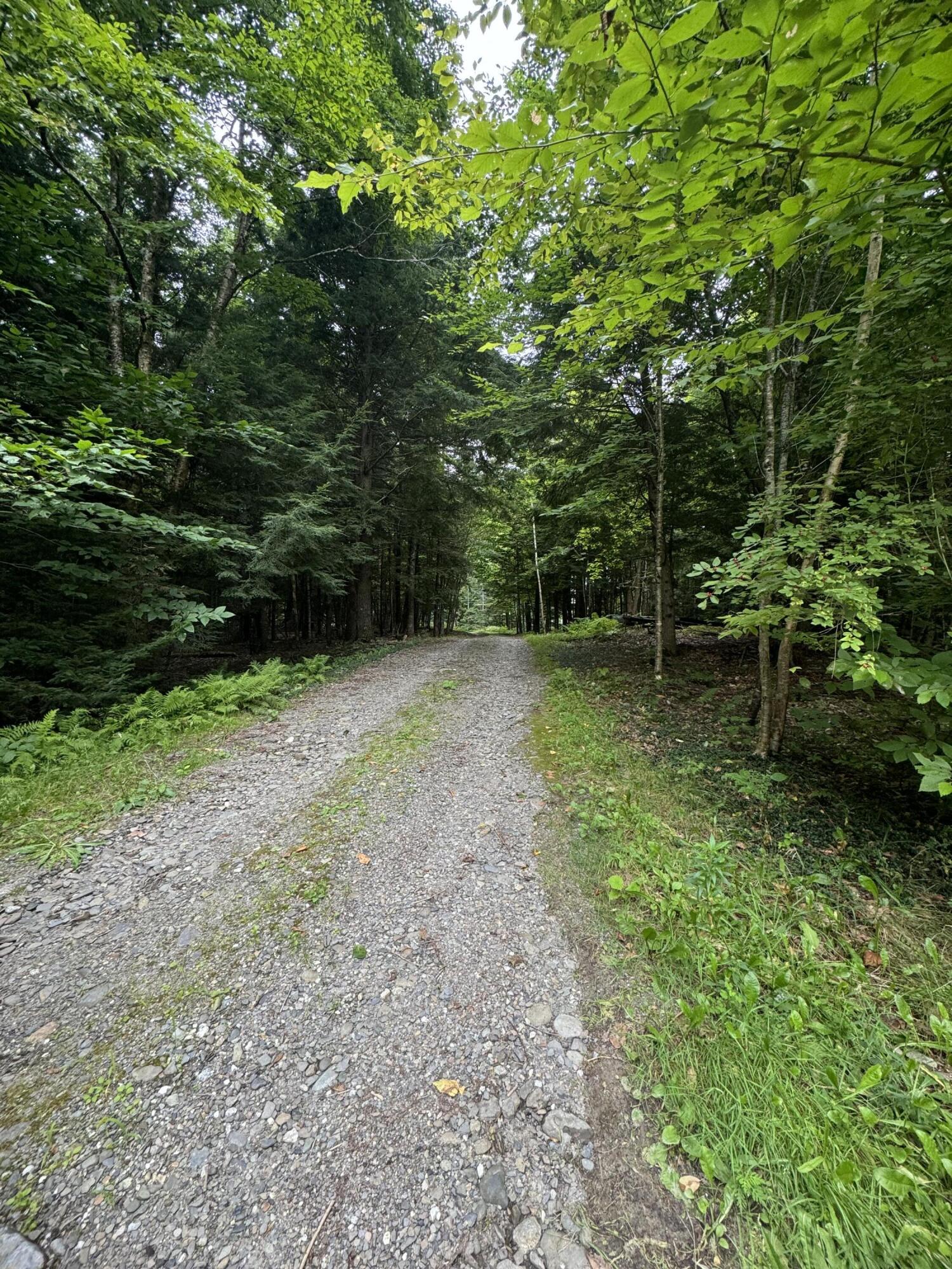 408 Corinth Road Garland, ME 04939 - Photo 37 of 41 IMG_5970