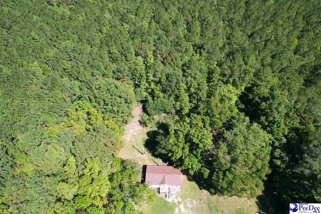 1116 Edwards Road Bennettsville, SC 29512 - Photo 35 of 36 Gallery Image 35
