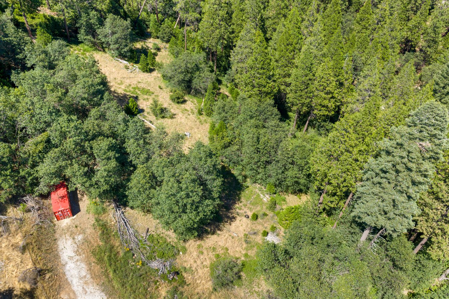 0 Meyers Road Camino, CA 95709 - Photo 11 of 28