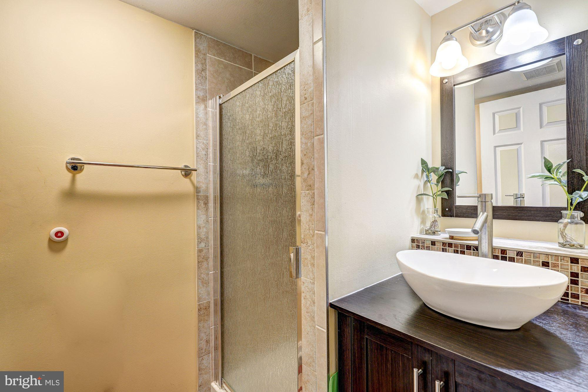 8665 Ridge Road Ellicott City, MD 21043 - Photo 27 of 40 Lower Level Full Bath