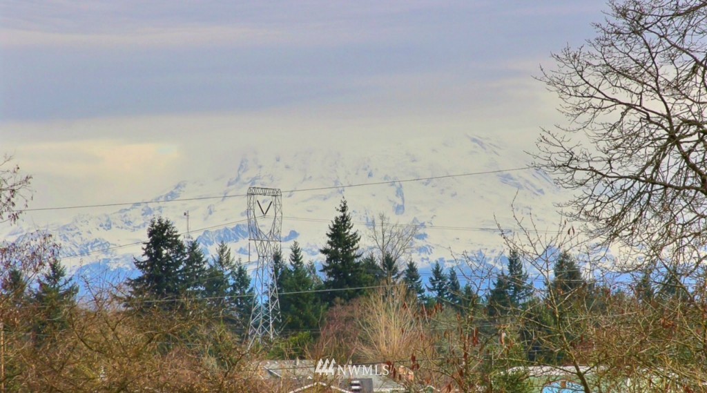 16844 Canal Road Southeast Yelm, WA 98597 - Photo 2 of 15 Gallery Image 2