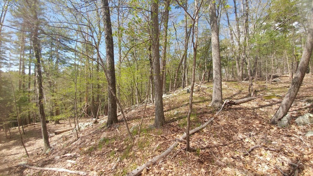20 Wildmeadow Road Boxford, MA 01921 - Photo 28 of 40 Gallery Image 28