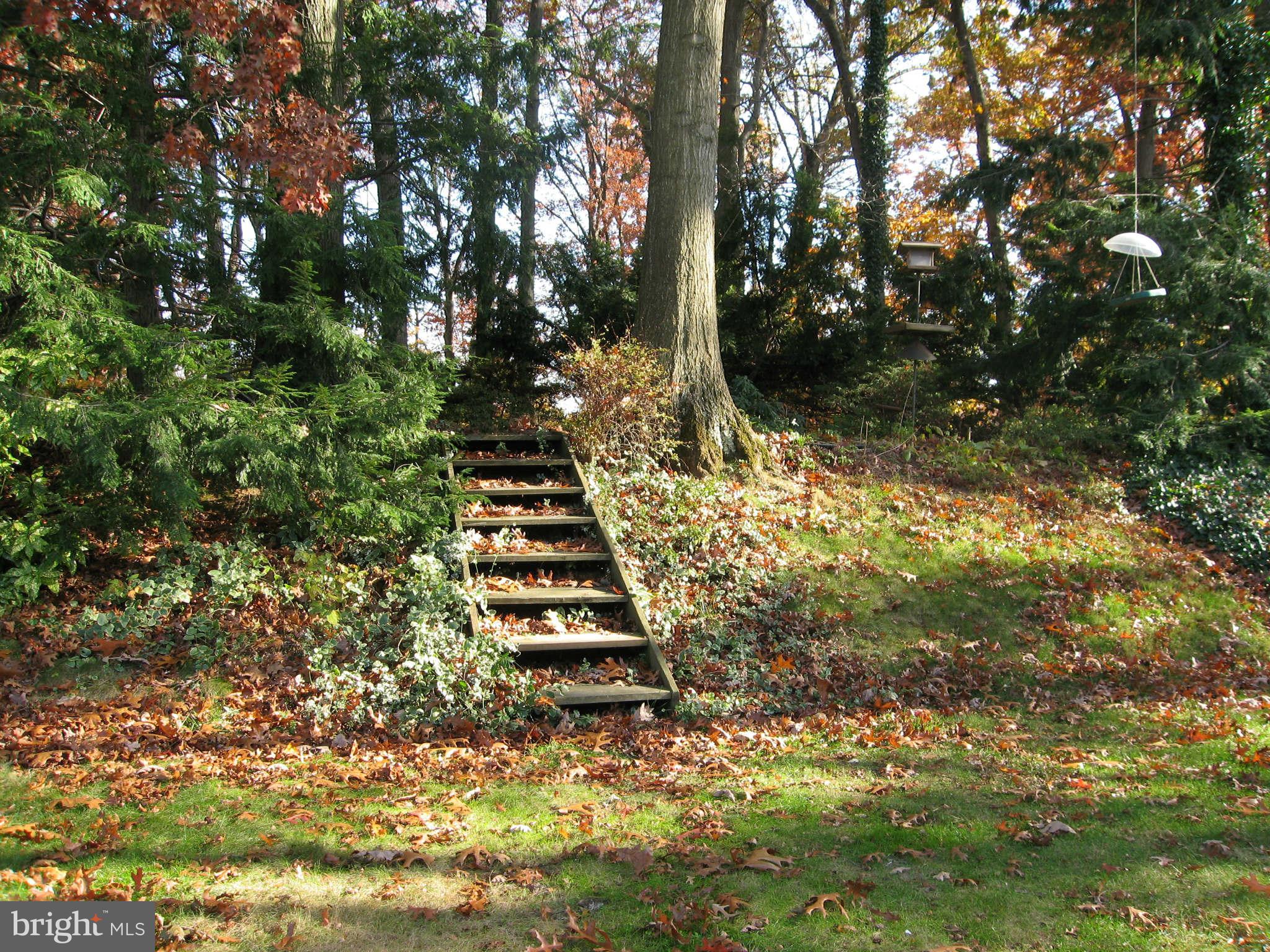 221 Margate Road Lutherville-Timonium, MD 21093 - Photo 22 of 25 Stairway to wooded area