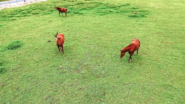 $2,195,000 | 770 Merriam Road, Hickman, CA 95323