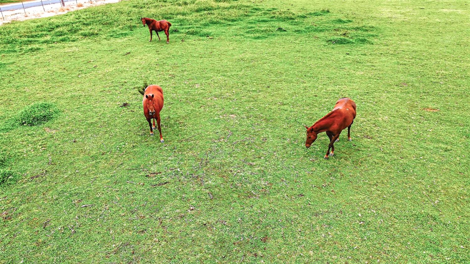 770 Merriam Road Hickman, CA 95323 - Photo 89 of 91